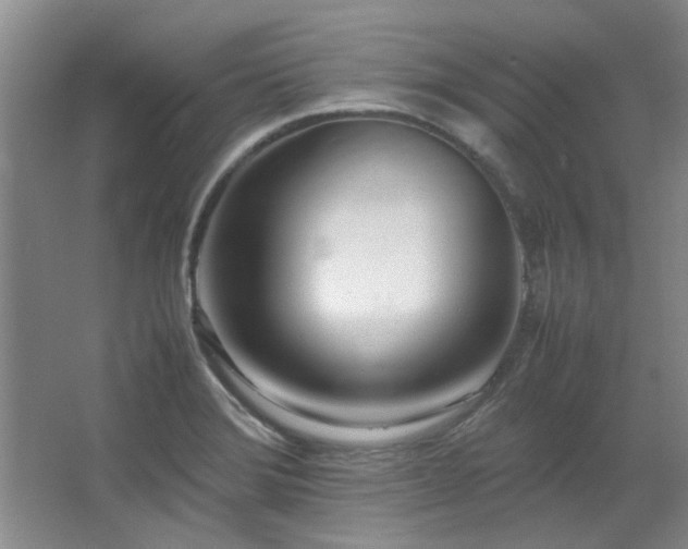 X0000064731372200602101139