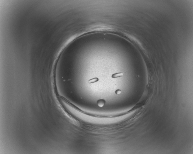 X0000064731375200602101139