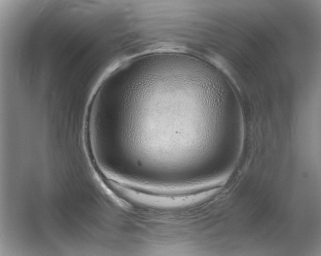 X0000064731379200602101139