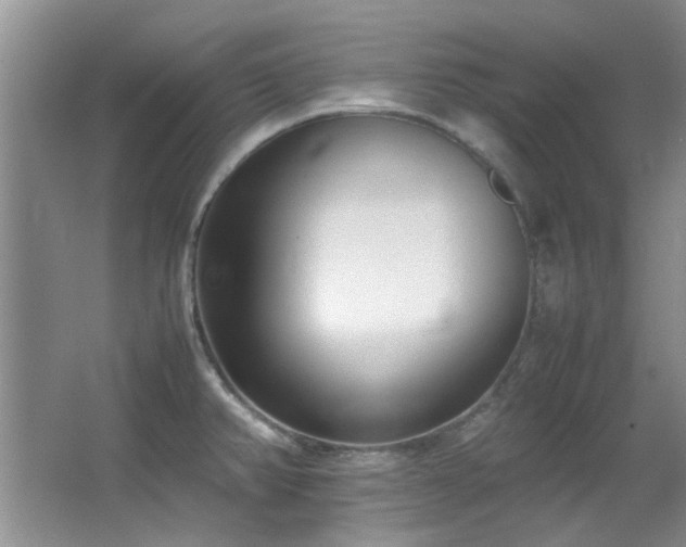 X0000064731382200602101138