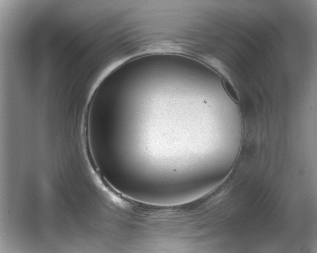 X0000064731387200602101138