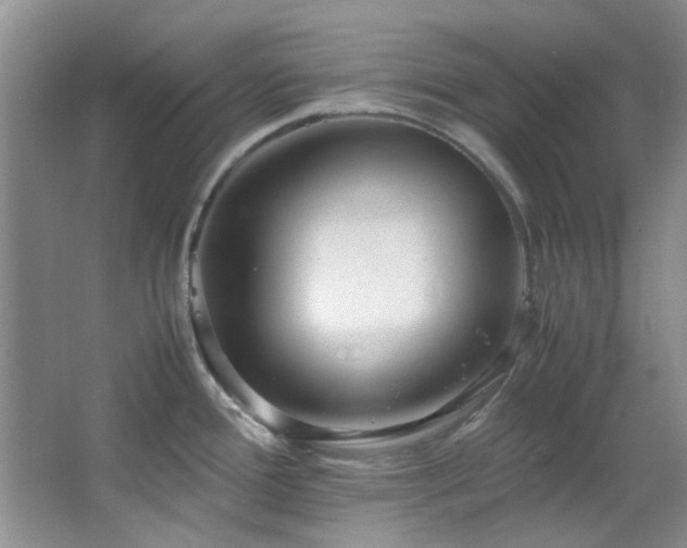 X0000064731388200602101138