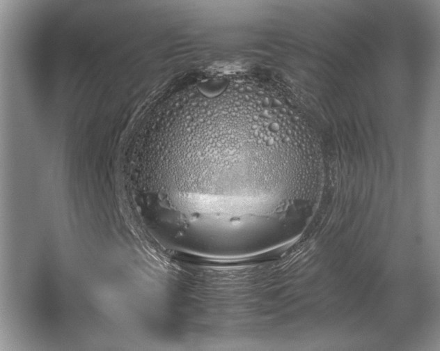 X0000064731393200602101137