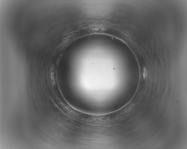 X0000064731396200602101138