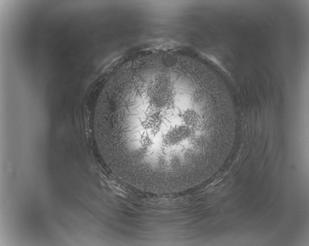 X0000064731399200602101138