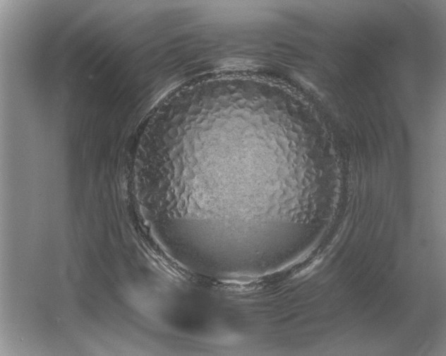 X0000064731401200602101138