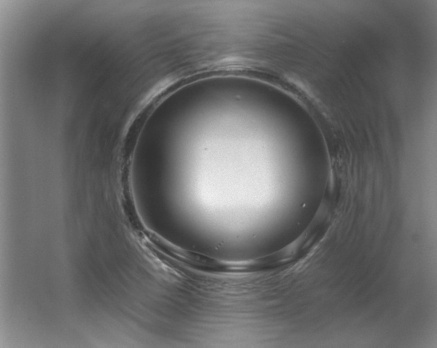 X0000064731410200602101138