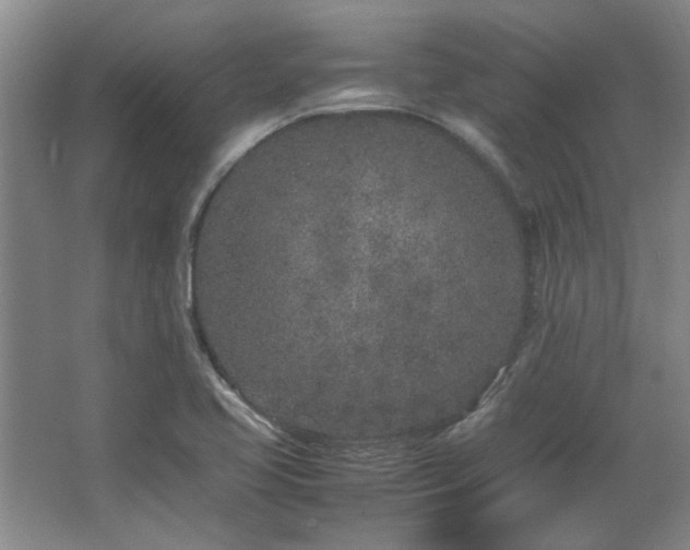 X0000064731413200602101138