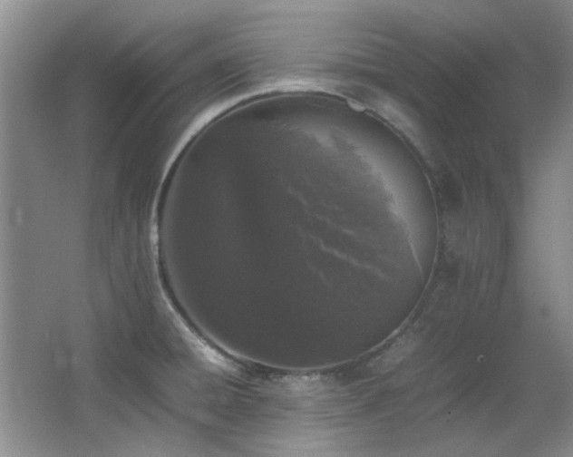 X0000064731428200602101138