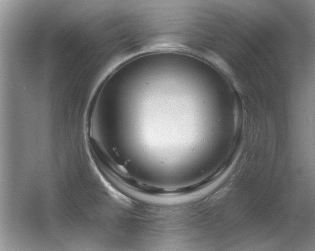 X0000064731430200602101138