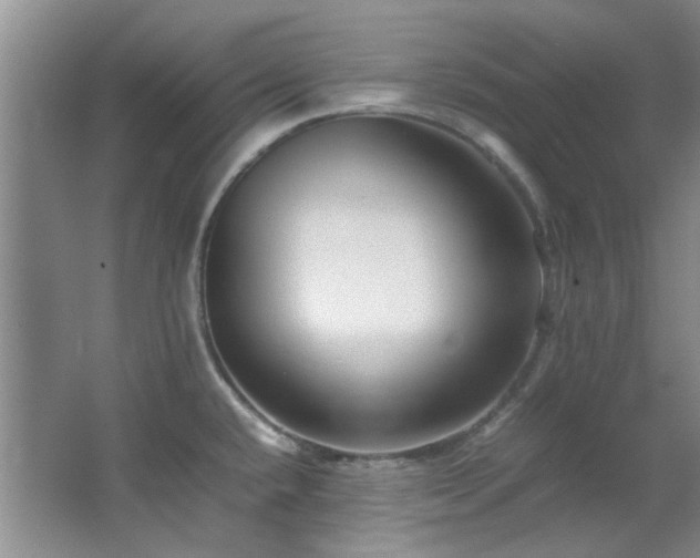 X0000064731432200602101138