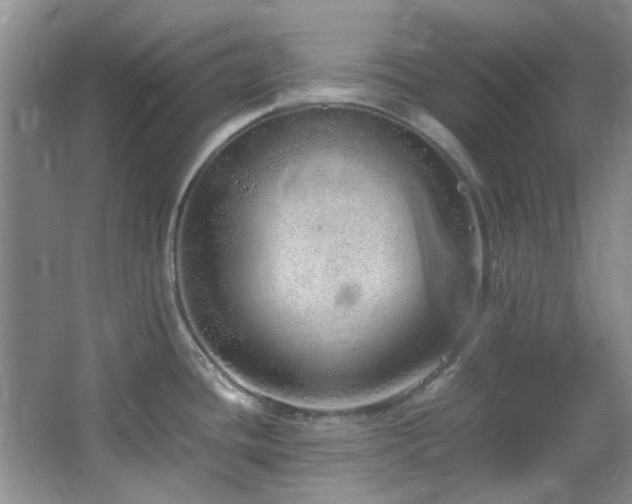 X0000064731436200602101138