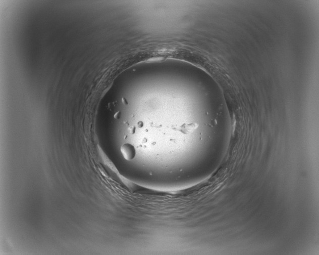 X0000064731441200602101137