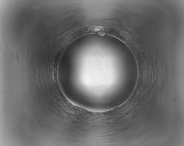 X0000064731442200602101137