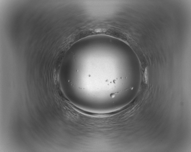X0000064731443200602101137