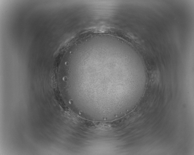 X0000064731446200602101137