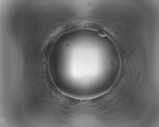 X0000064731447200602101137