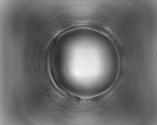 X0000064731449200602101137