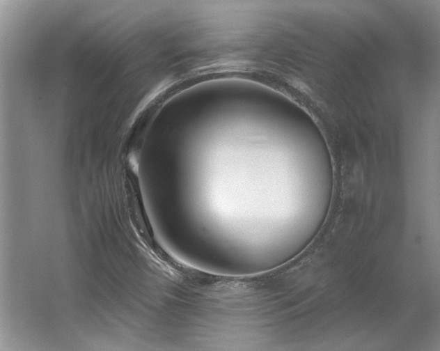 X0000064731450200602101137