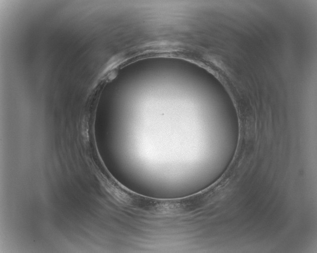 X0000064731451200602101137