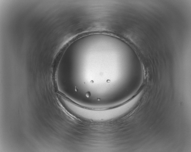 X0000064731452200602101137