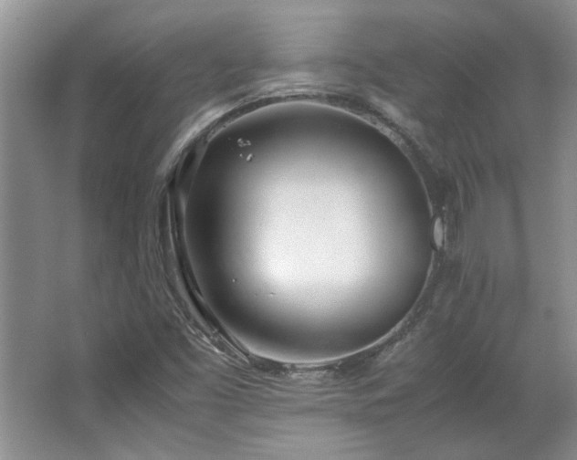 X0000064731453200602101137