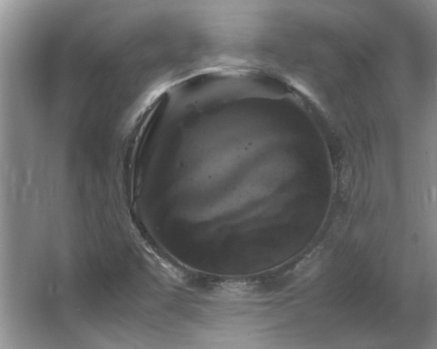X0000064731455200602101137