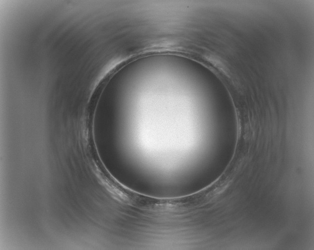 X0000064731458200602101137