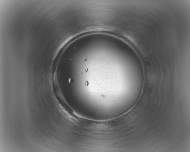 X0000064731460200602101137