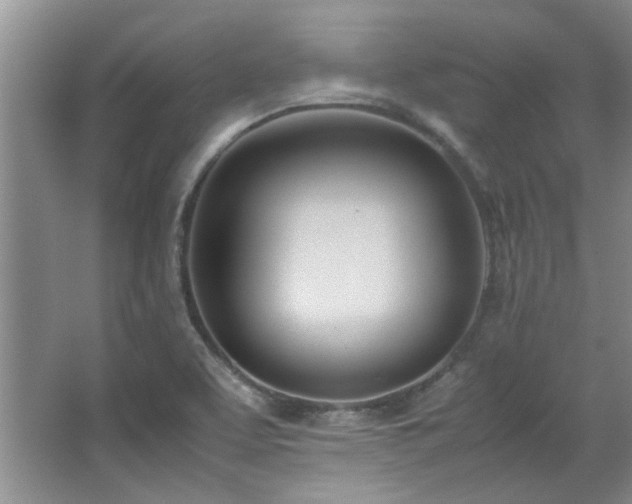 X0000064731463200602101137