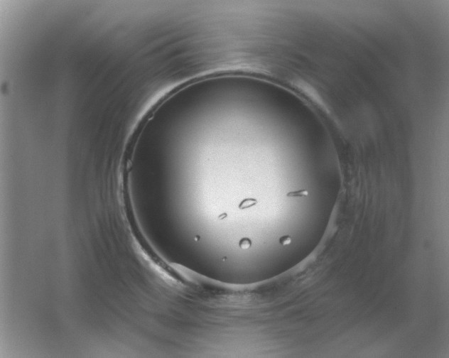 X0000064731468200602101137