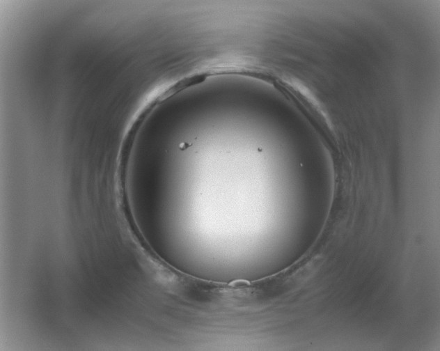 X0000064731469200602101137