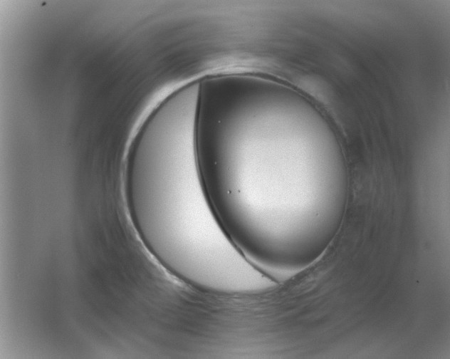 X0000064731472200602101137