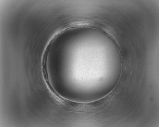 X0000064731475200602101137