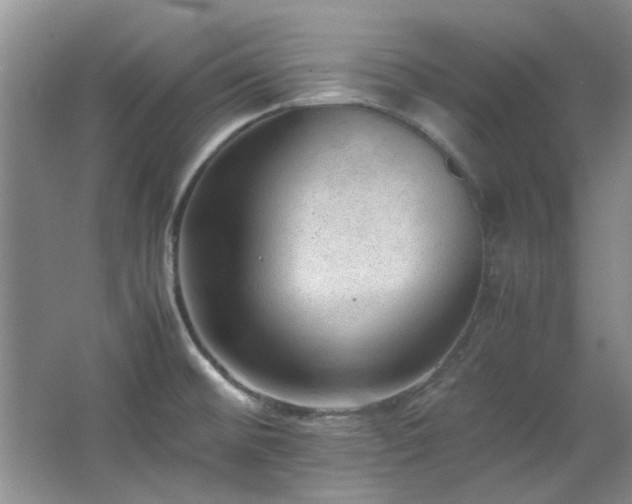 X0000064731476200602101137