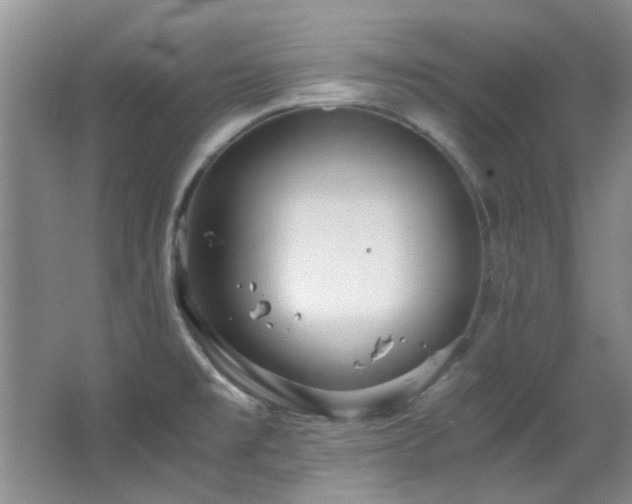 X0000064731477200602101137