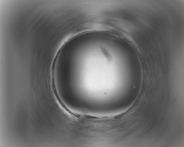 X0000064731479200602101137