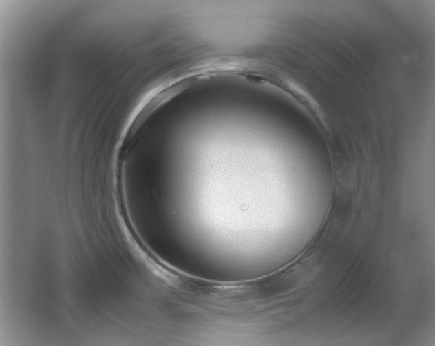 X0000064731483200602101137