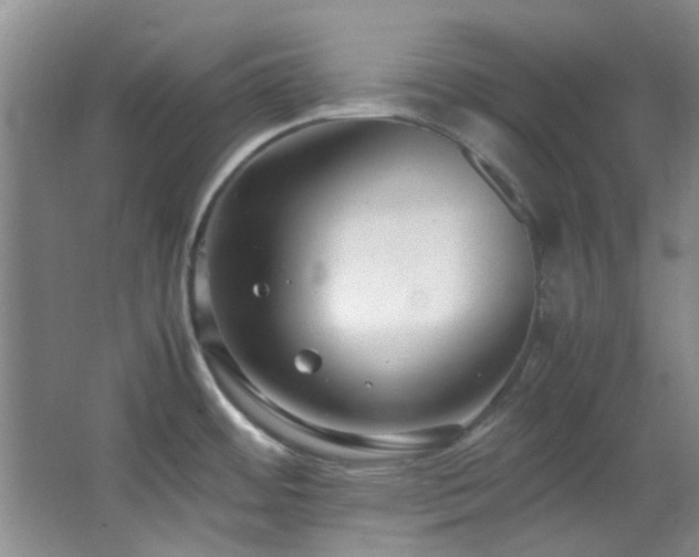 X0000064731484200602101137