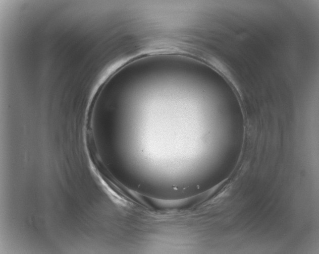 X0000064731485200602101137