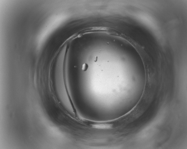 X0000064731487200602101137