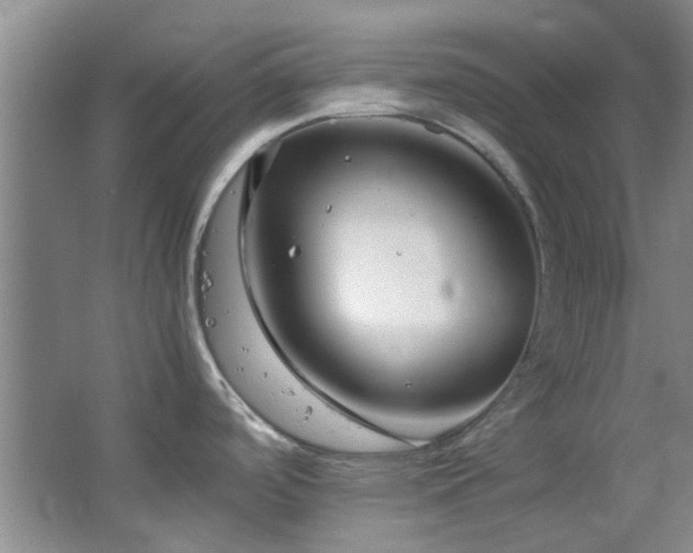 X0000064731488200602101137