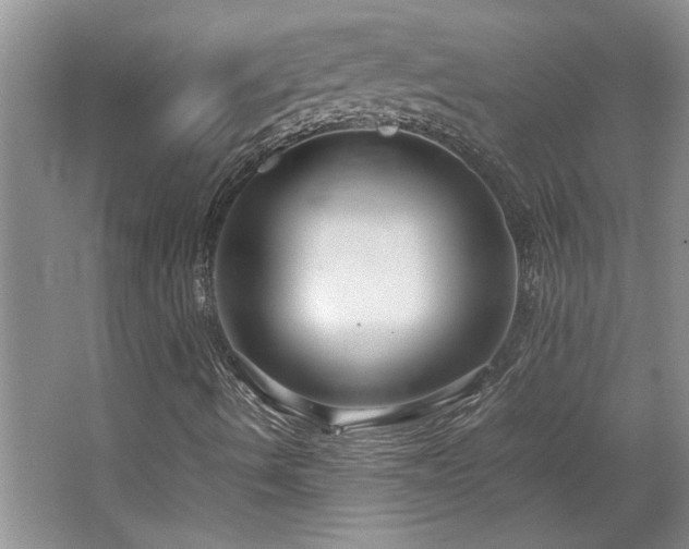X0000064731490200602101136