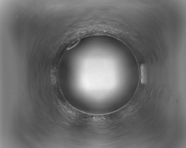 X0000064731491200602101136