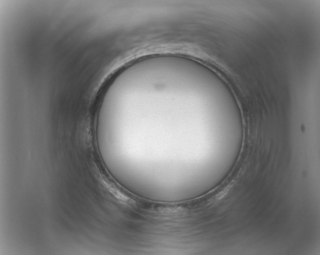 X0000064731498200602101136
