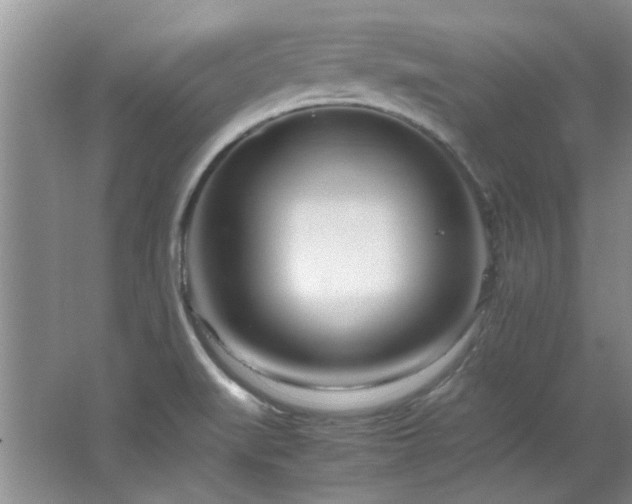X0000064731519200602101136