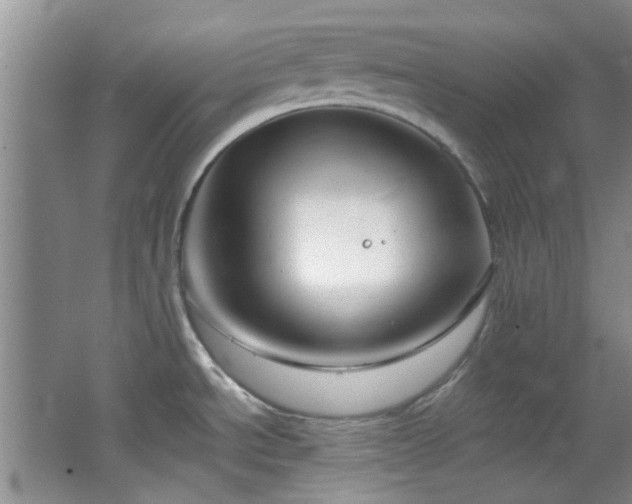 X0000064731534200602101137