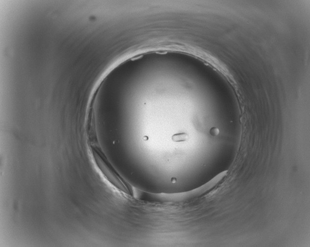 X0000064731536200602101137