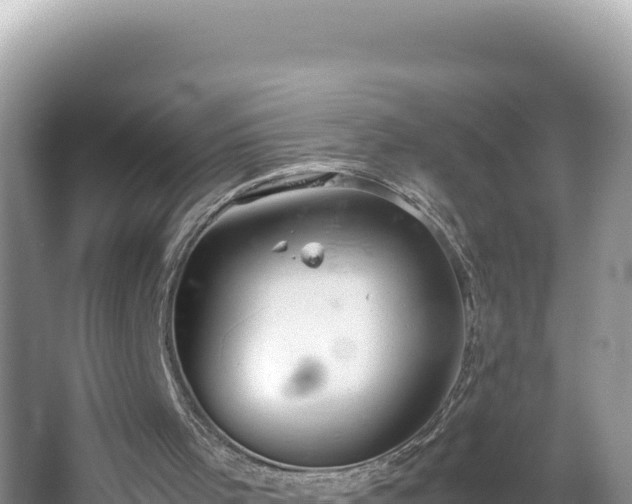 X0000064730001200602131302