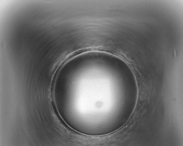 X0000064730002200602131302